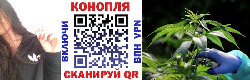 Бошки марихуана SATIVA & INDICA  shop как зайти  Ачхой-Мартан 